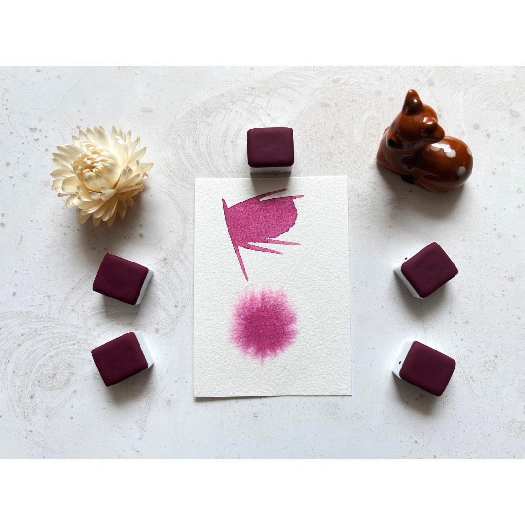 Watercolor Paints - Starter Limited - VH010