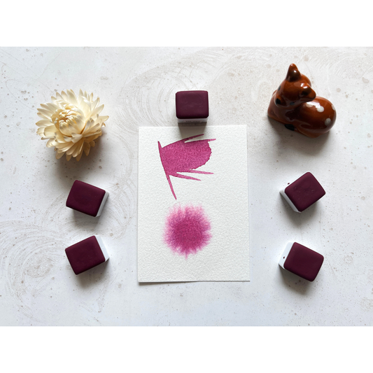 Watercolor Paints - Starter Limited - VH010