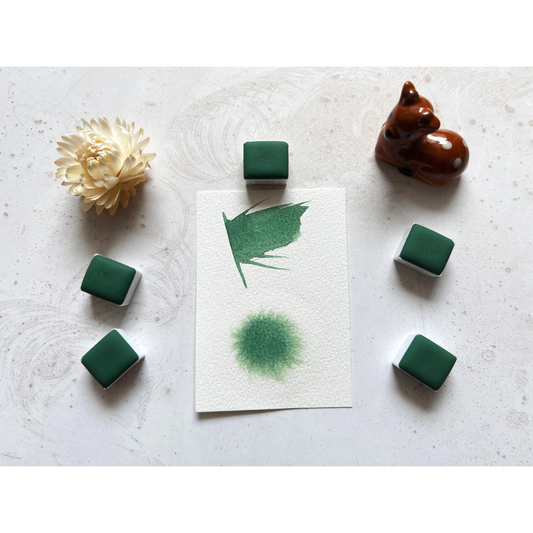 Watercolor Paints - Starter Limited - VH011