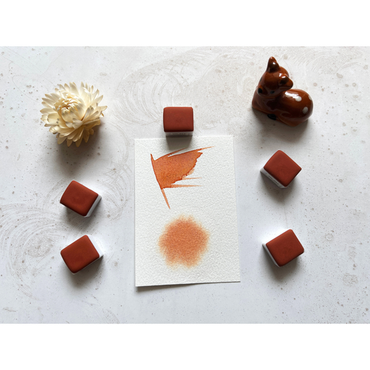 Watercolor Paints - Starter Limited - VH012