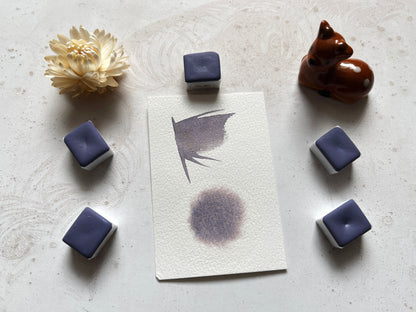 Watercolor Paints – Limited Edition (8 colors with box) L1