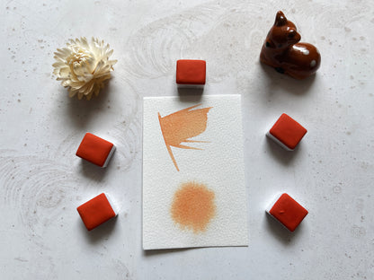 Watercolor Paints – Limited Edition (8 colors with box) L2