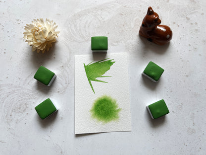 Watercolor Paints – Limited Edition (8 colors with box) L2